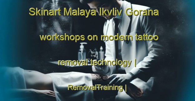 Skinart Malaya Ikvliv Gorana workshops on modern tattoo removal technology | RemovalTraining | RemovalClasses | SkinartTraining-Georgia